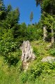 0440Lac vert